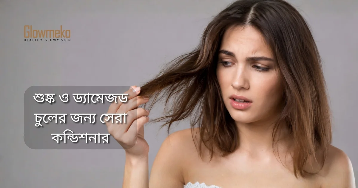 ড্যামেজড চুলের যত্নে ২০২৬ সালের সেরা কন্ডিশনার ও সম্পূর্ণ গাইড