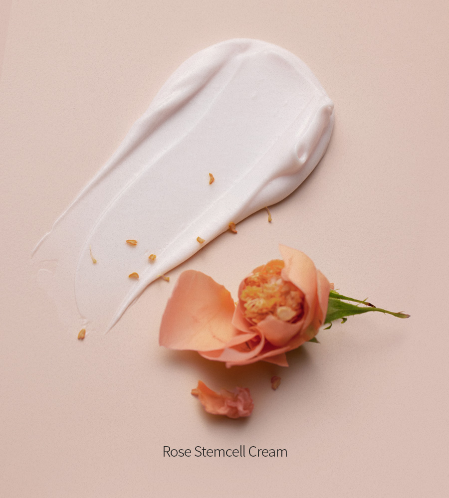 Bonajour Rose Stem Cell Cream (50 ml)